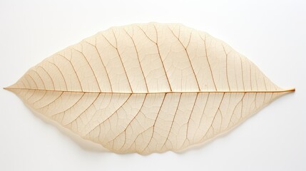 Sticker - intricate leaf white background