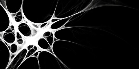 Wall Mural - abstract white web-like structure on black background.