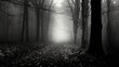 © vectorwin - forest fall black and white