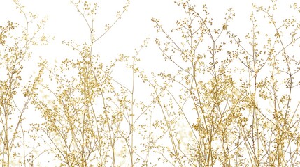 Wall Mural - Dry golden meadow plant on white, for decoration, background, and creative design