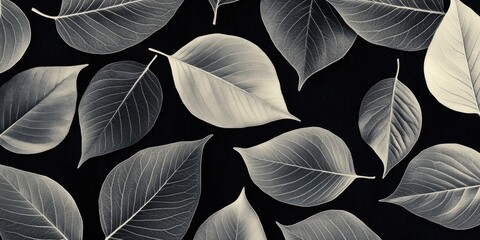 Leaves in close-up black and white image, showing details of vein structure and texture.