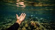 © FREI - Underwater adventure: reaching towards coral and fish in clear ocean waters