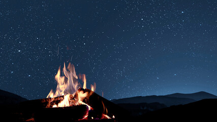 Wall Mural - a bonfire burns at night against the background of mountains and sea with bright stars...