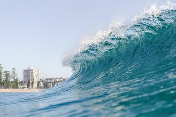 Wall Mural - Empty turquoise wave breaks at Manly Beach, Australia with a distant view of the town.