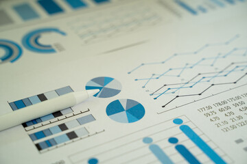 Wall Mural - The business report includes financial analysis, marketing strategy, and investment data, with charts, graphs, and statistics to review economic growth and profits.