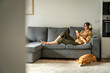 © Stock 4 You - Happy smiling young student woman lying on couch, listening music in headphones on mobile phone application. Relaxing girl at new real estate apartment home using mobile phone online app. Copy space
