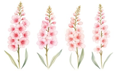 Wall Mural - Delicate pink flowers in a row