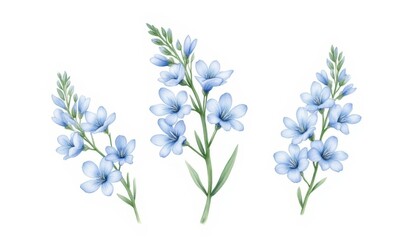 Canvas Print - Delicate blue flowers on white background