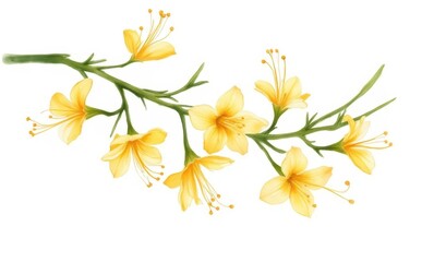 Canvas Print - Delicate yellow flower branch illustration