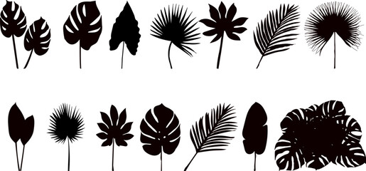 Wall Mural - palm leaves set silhouette on white background vector