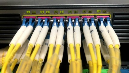 Wall Mural - Close up view internet equipment cables in the server room communication and internet network server
