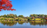 Shinjuku gyoen park tokyo in autumn season
