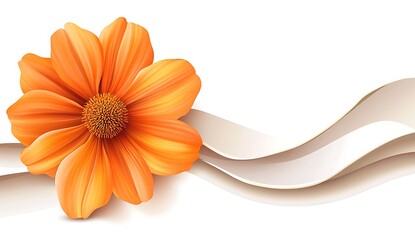 Wall Mural - Beautiful Orange Daisy Flower on White Background with Elegant Design