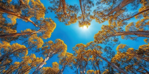 Wall Mural - trees in bloom, with their bright flowers reaching up to the blue sky, creating a vibrant and peaceful natural landscape