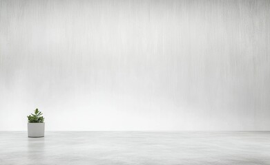 Fototapete - Small potted plant placed on a gray concrete floor against a white background, emphasizing simplicity and minimalism in design