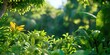 © kwanchaift - Lush rainforest habitat featuring diverse wildlife interacting harmoniously, vibrant foliage backdrop, soft natural lighting