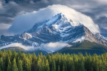 Wall Mural - Majestic snow-capped peak shrouded in dramatic clouds, overlooking a dense evergreen forest.