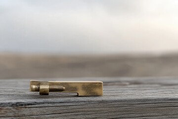 Brass metal part with a screw, rests on weathered wood against a blurred background.