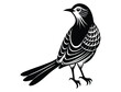 © Deeply designed123  - mockingbird silhouette vector illustration and white background