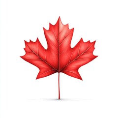 Wall Mural - Vibrant Red Maple Leaf Isolated on White Background, Perfect for Nature and Canada Themes in Graphic Designs