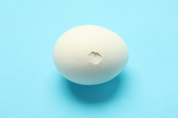 Wall Mural - One egg with cracked shell on light blue background