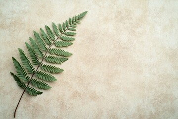 Canvas Print - Fern Leaf on Beage Background