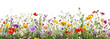 © Rawpixel.com - PNG Foreground flower gardens and meadows flowers spring background.