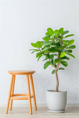 Wall Mural - Stylish plant and stool decor against a clean, white wall for home interior design. Generative AI