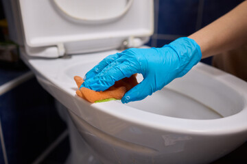 Cleaning the Toilet Essential Sanitation Practices for Maintaining a Healthy Home Environment