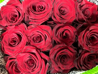 Fototapete - festive huge bouquet of red roses with a top view in a flower shop with delivery for congratulations on Valentine's Day, Birthday, Wedding