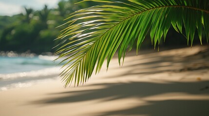 Canvas Print - Tropical beach palm frond, ocean waves, sunny day, travel postcard