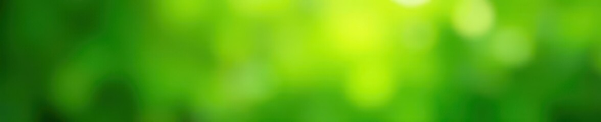 Wall Mural - Vibrant green bokeh, soft focus, nature backdrop,  field,  wallpaper,  design