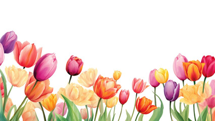 Poster - PNG Outdoors flower nature tulip.