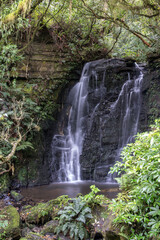 Wall Mural - Hiking through the forest and several waterfalls in the Catlins lush native bush