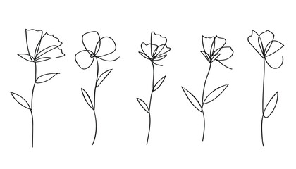 Poster - Single line art vector flower illustration collection.One continuous line art.