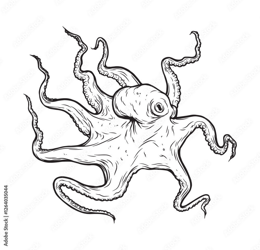Octopus vector illustration. Tentacles of octopus, vector hand drawn ...