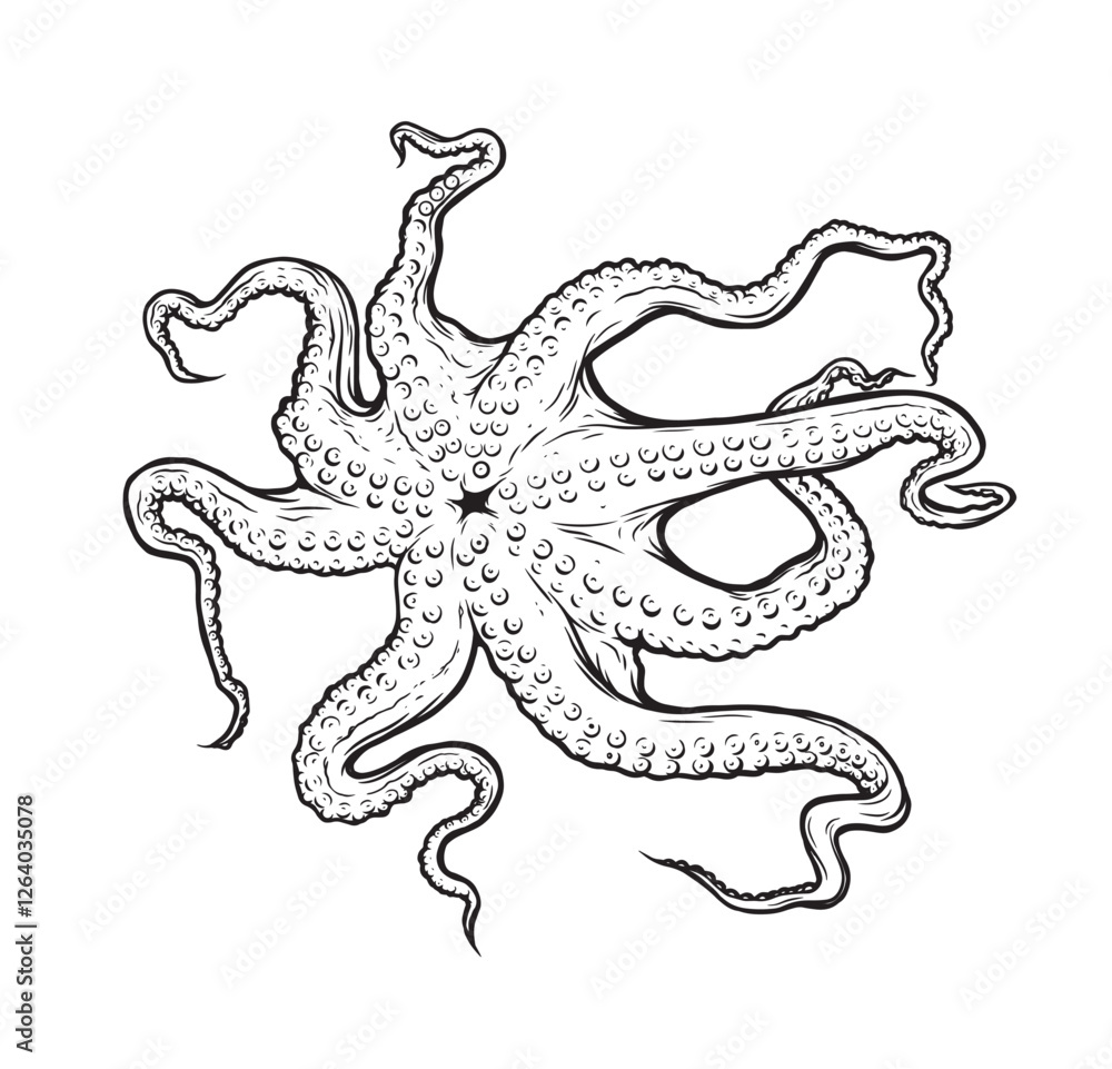 Octopus vector illustration. Tentacles of octopus, vector hand drawn ...