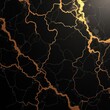 © Sonya - Elegant Black and Gold Lightning Marble Background