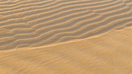  Top view of desert dunes or tropical seashore landscape. Wavy sand surface illustration. Realistic coastal beach texture. Summer background of natural sandy seaside shore. Beach background