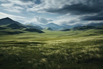 Poster - Grassland beautiful landscape panoramic outdoors.