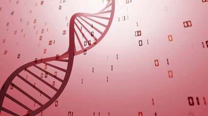 Wall Mural - red 3d dna chain with computer binary numbers loop animation background.