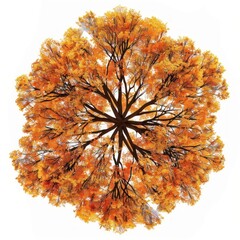 Poster - Majestic autumn tree leaves leaf art.