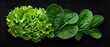 © Дмитрий Петров - A black background with two types of green leafy vegetables.