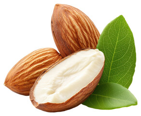 Wall Mural - Almonds with Green Leaves on Transparent Backdrop Raw and Natural Food Concept