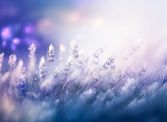 Sticker - a dreamy, blurred field of lavender flowers in soft purple and blue hues. a peaceful and calming nat