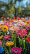 © olegganko - Colorful garden filled with blooming flowers during sunny day in spring