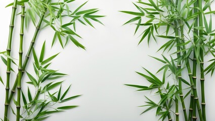 Poster - Bamboo leaves and stalks arranged on a light background with ample copy space for text placement