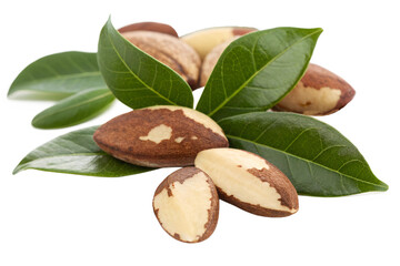 Wall Mural - brazil nuts brazil nuts with leaves isolated on transparent background png