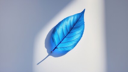 Wall Mural - blue artificial leaf casting a shadow on a light background with soft natural lighting and ample cop