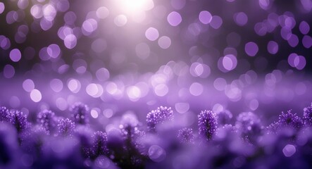 Poster - Purple flower field with bokeh effect and soft light creating a dreamy atmosphere; perfect for backgrounds and nature themes with Copy Space.